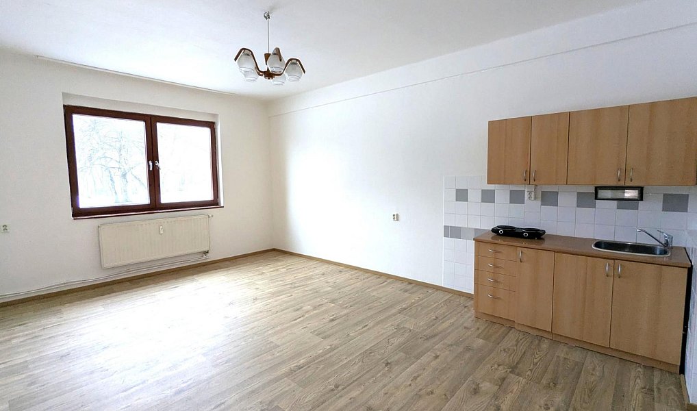 Pronájem bytu 1+kk 32 m², Litvínov – náhled fotky 3
