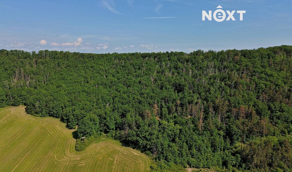 Prodej lesa 3 149 m², Chrustenice – náhled fotky 11