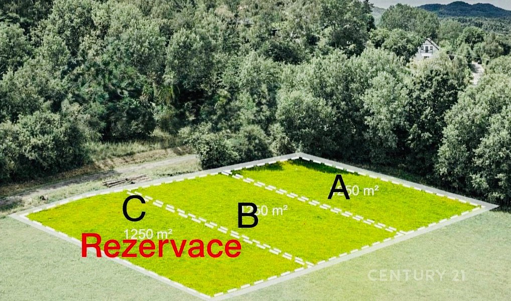 Prodej stavebního pozemku 1 250 m², Bělá pod Bezdězem – náhled fotky 4