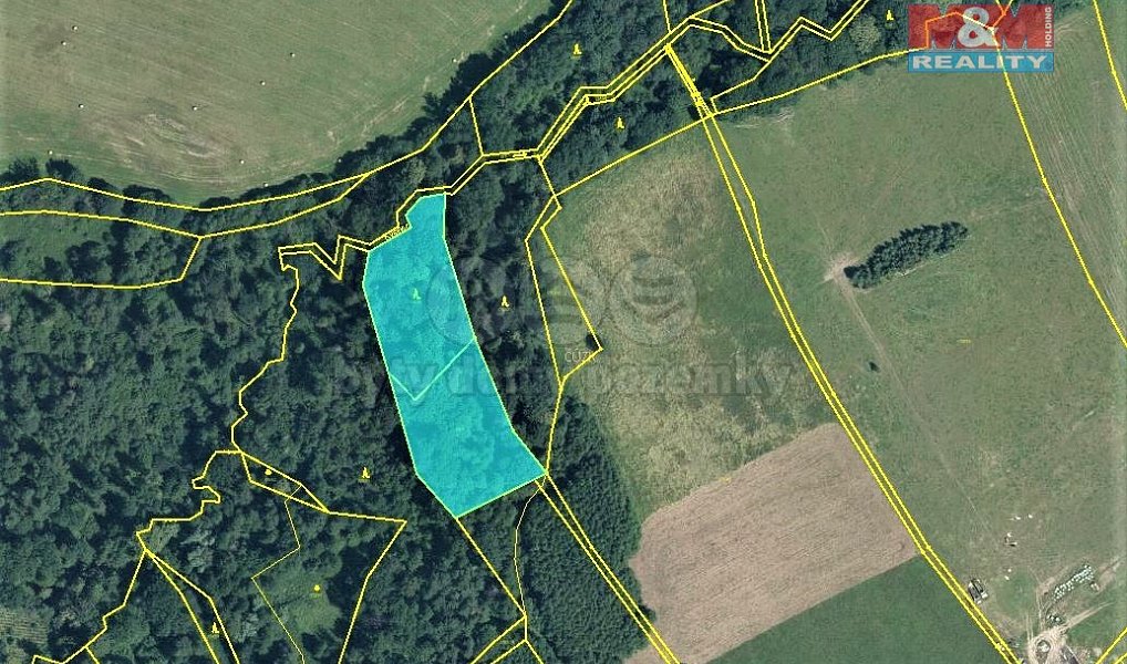 Prodej lesa 6 540 m², Český Těšín – náhled fotky 5