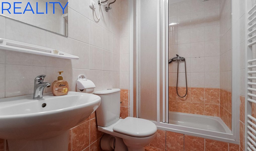 Prodej ubytovacího objektu 500 m², Horní Bečva – náhled fotky 12