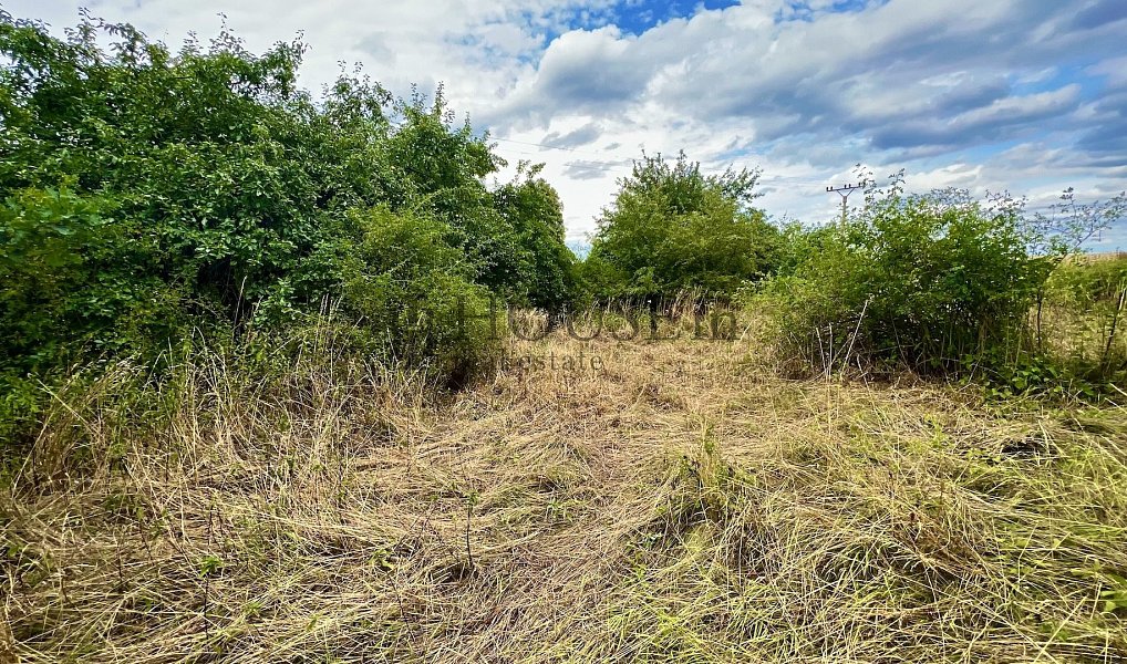 Prodej stavebního pozemku 2 410 m², Blížejov – náhled fotky 7