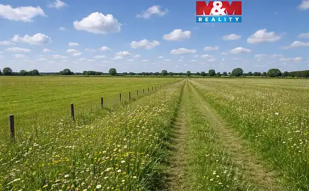 Prodej louky 16 129 m², Třemošná, okres Plzeň-sever