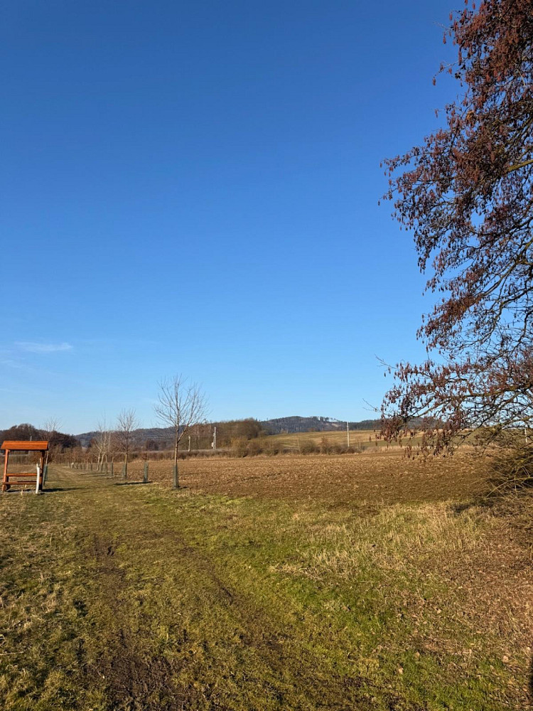 Prodej lesa 8 466 m² – další