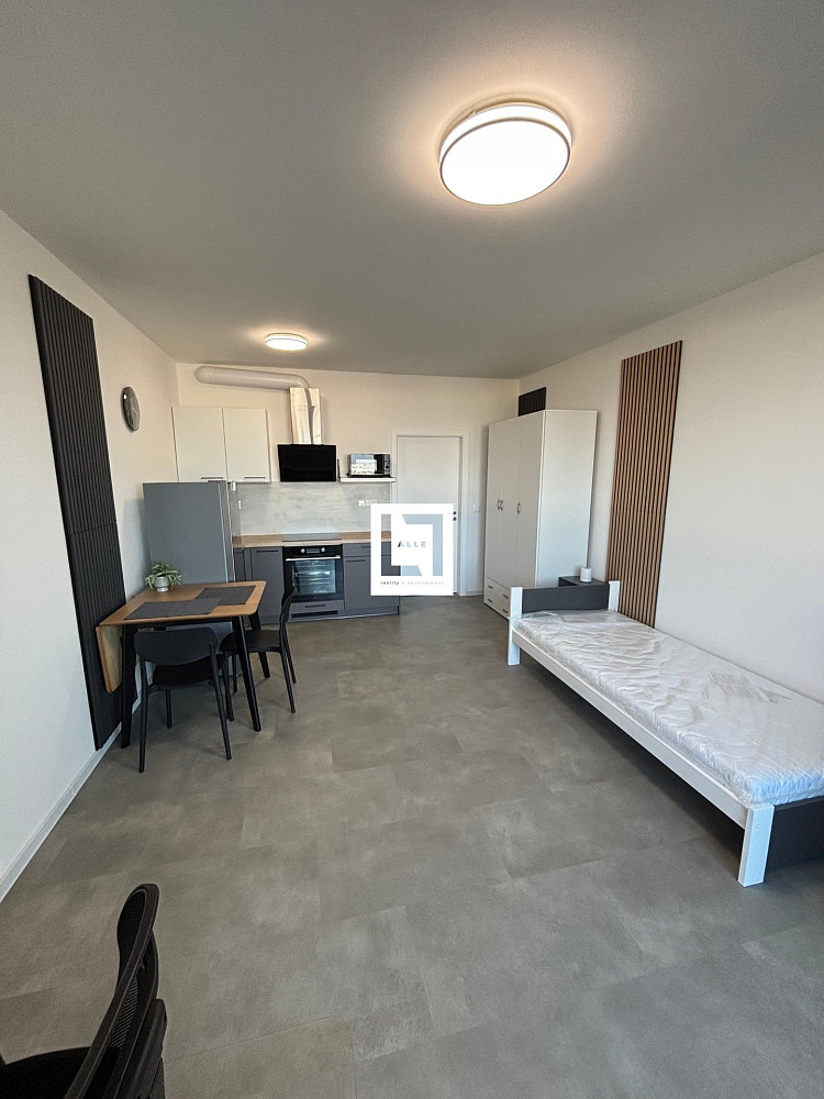 Pronájem bytu 1+kk 31 m² — photo 4