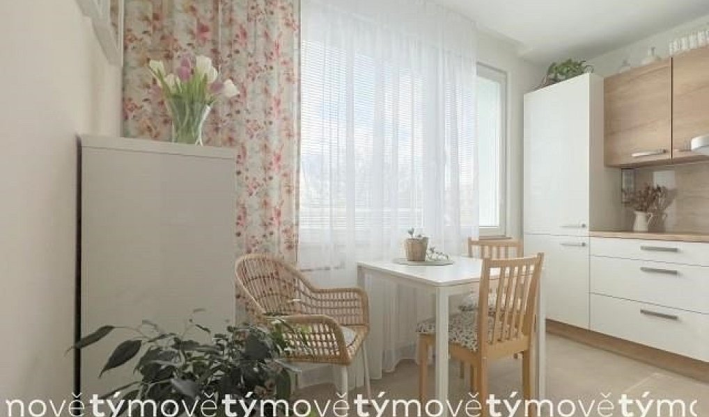 Pronájem bytu 1+1 35 m², Heřmanův Městec – náhled fotky 4
