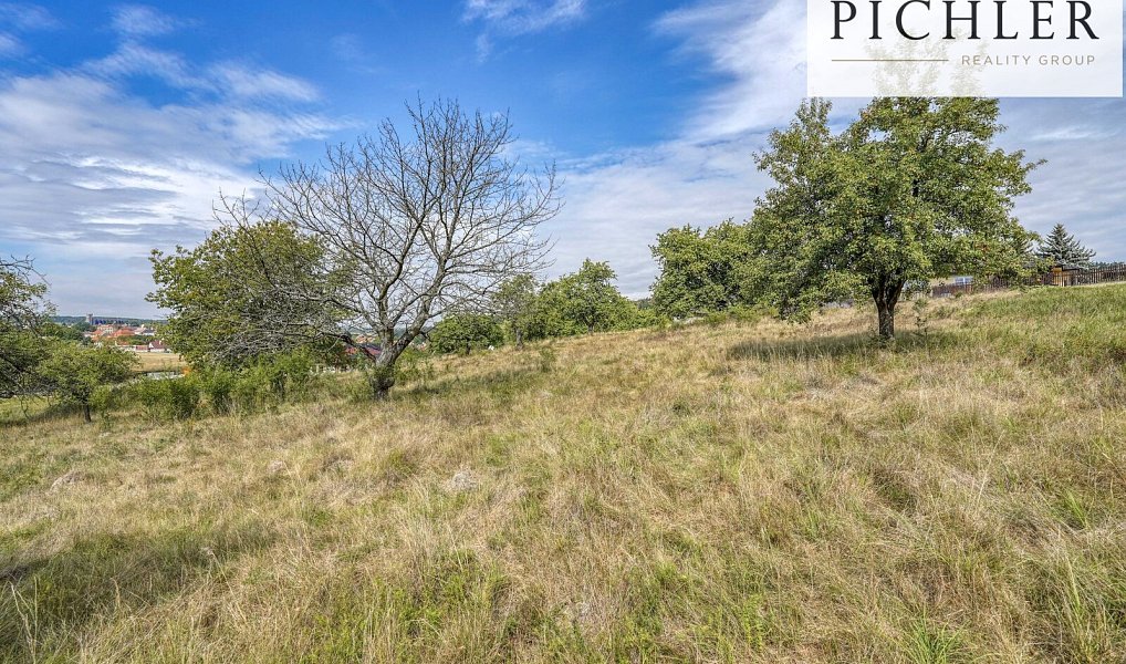 Prodej stavebního pozemku 10 447 m², Radnice – náhled fotky 23