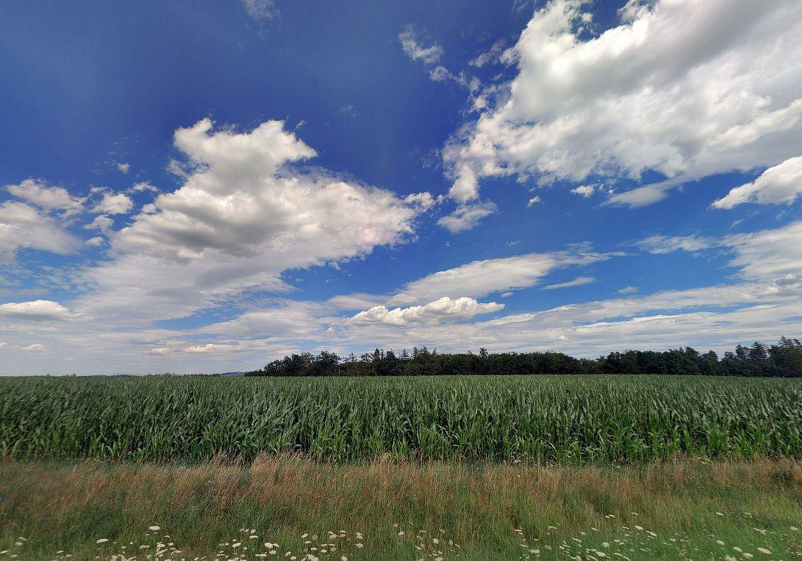 Prodej pole 2 091 m² – fotografie 3