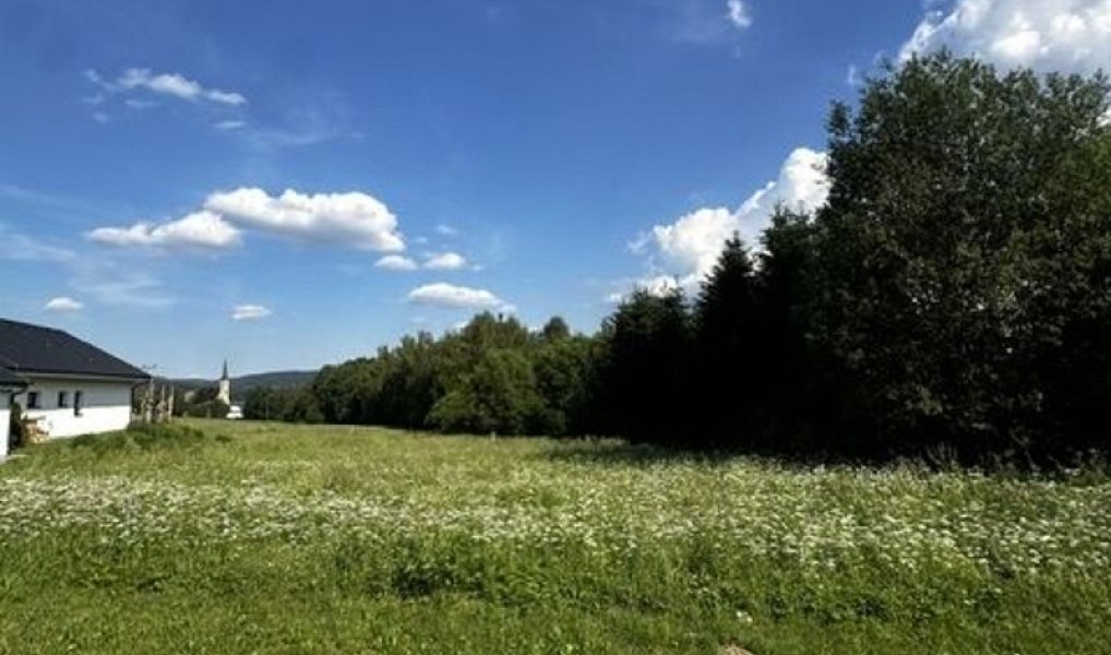 Prodej stavebního pozemku 1 161 m², Přední Výtoň – náhled fotky 11