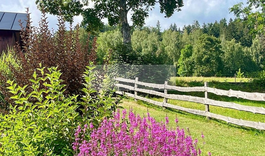 Prodej ubytovacího objektu 345 m², Paseky nad Jizerou – náhled fotky 30