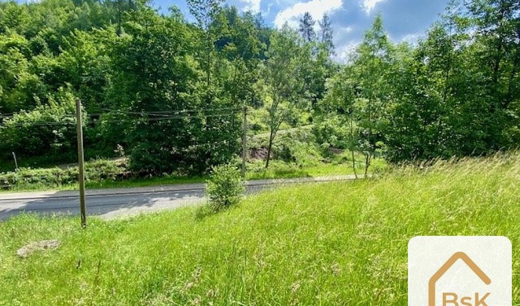 Prodej stavebního pozemku 2 434 m², Koberovy – náhled fotky 7