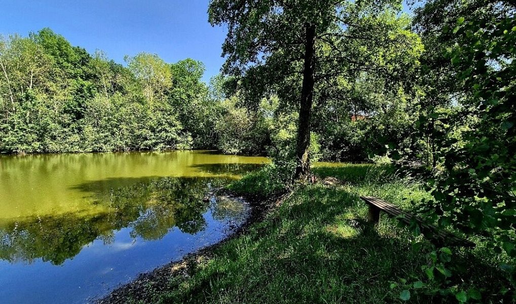 Prodej vodní plochy 8 425 m², Obruby – náhled fotky 11