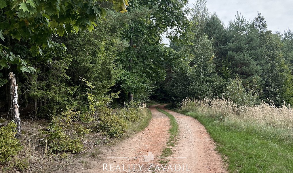 Prodej chaty/chalupy 140 m² s pozemkem 452 m², Nová Ves – náhled fotky 13