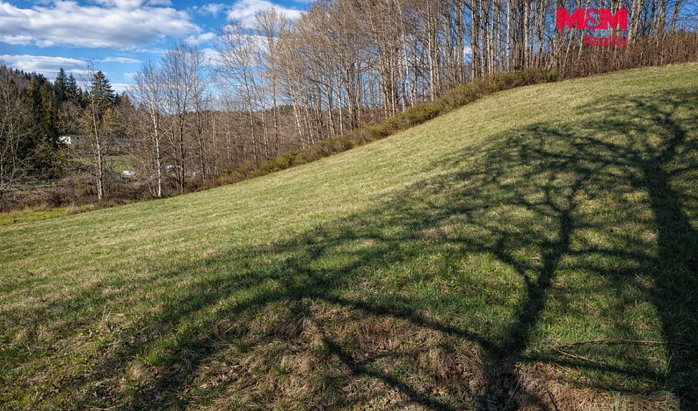 Prodej louky 2 749 m², Janův Důl – náhled fotky 4
