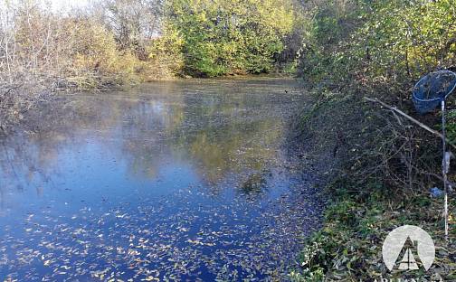 Prodej komerčního pozemku 17 553 m², Dušníky, okres Litoměřice