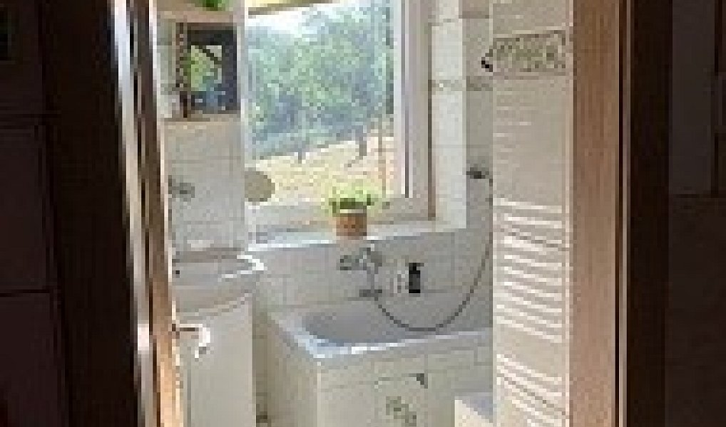 Prodej domu 160 m² s pozemkem 309 m², Bílá Lhota – náhled fotky 13