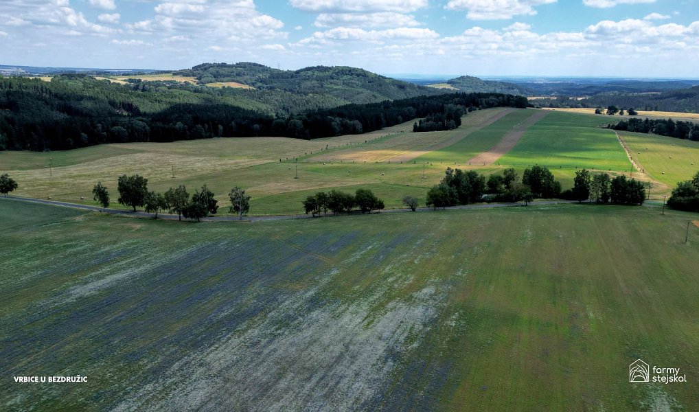 Prodej louky 3 263 482 m², Lestkov – náhled fotky 15