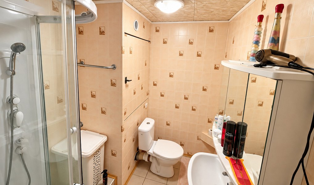 Prodej bytu atypického 108 m², Ostrava – náhled fotky 28