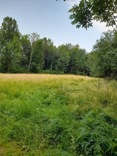 Pronájem pole 510 m² — photo 4