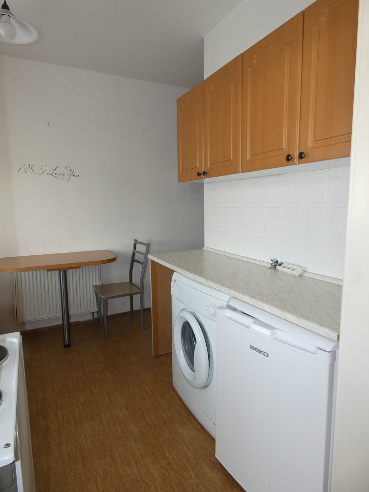 Pronájem bytu 1+1 40 m² – fotografie 4