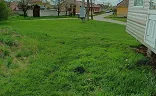 Ostatní