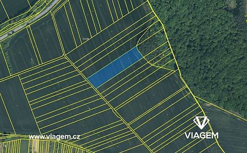 Prodej pole 5 443 m², Nedachlebice, okres Uherské Hradiště