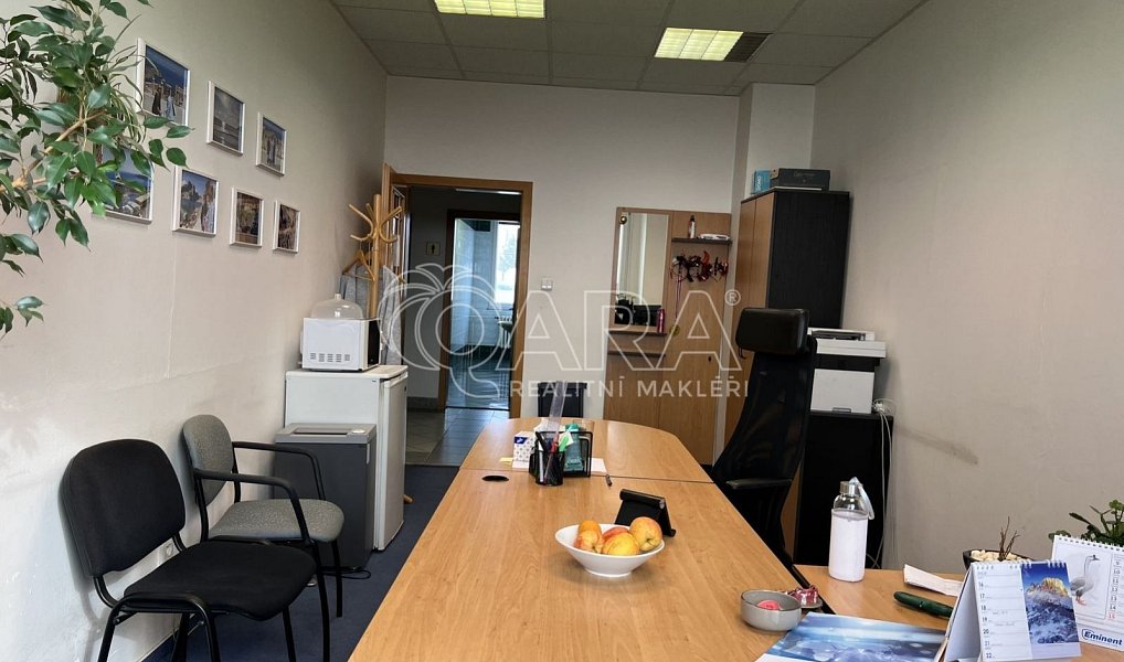 Pronájem kanceláře 308 m², Praha – náhled fotky 12