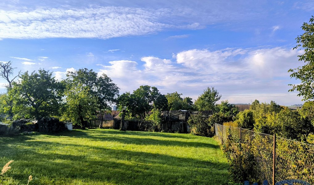 Prodej domu 114 m² s pozemkem 2 595 m², Čáslavice – náhled fotky 25