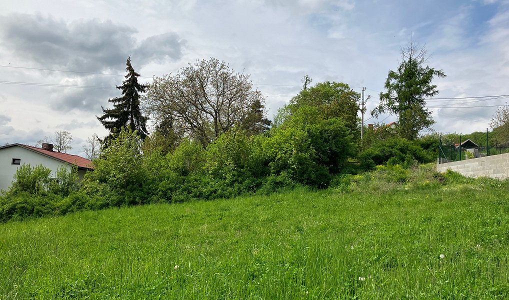Prodej stavebního pozemku 5 367 m², Vysoký Chlumec – náhled fotky 5