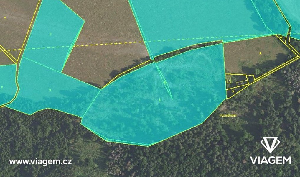 Prodej lesa 13 775 m², Čím – náhled fotky 4
