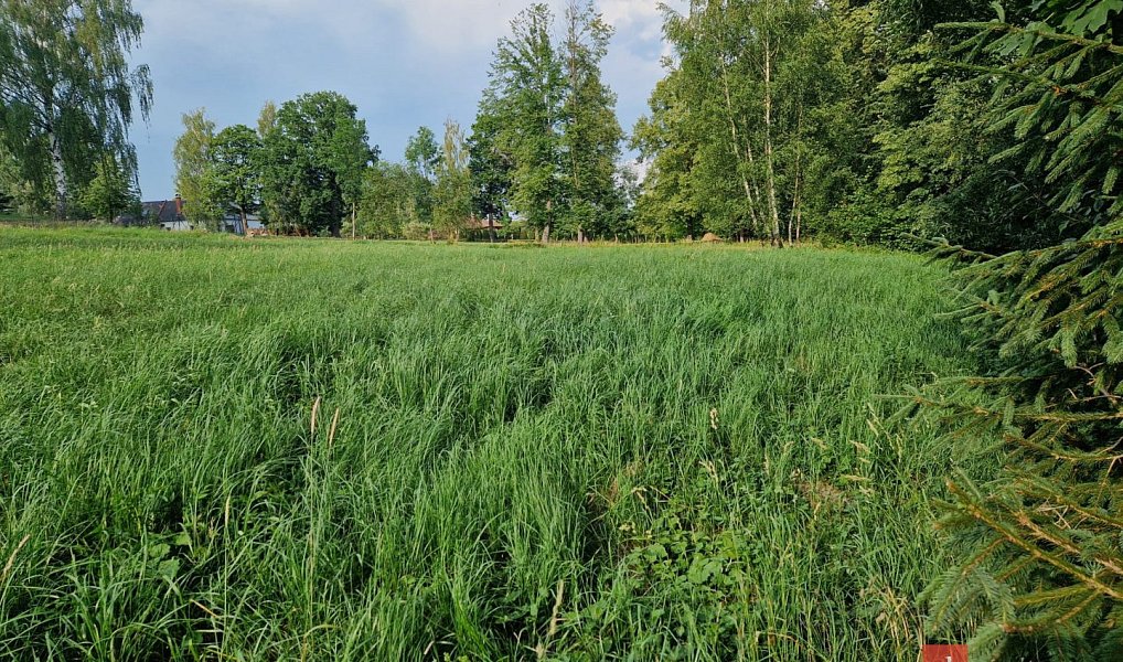 Prodej zahrady 3 023 m², Luková – náhled fotky 7