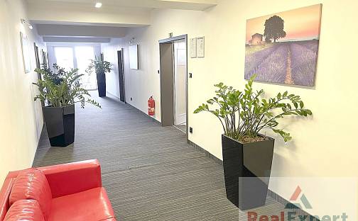 Pronájem kanceláře 60 m², Zelený pruh, Praha 4 - Braník