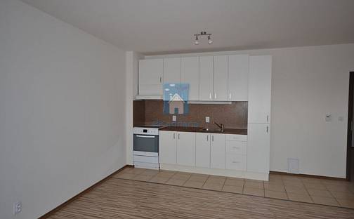 Pronájem bytu 2+kk 65 m², Hluboká, Plzeň - Východní Předměstí