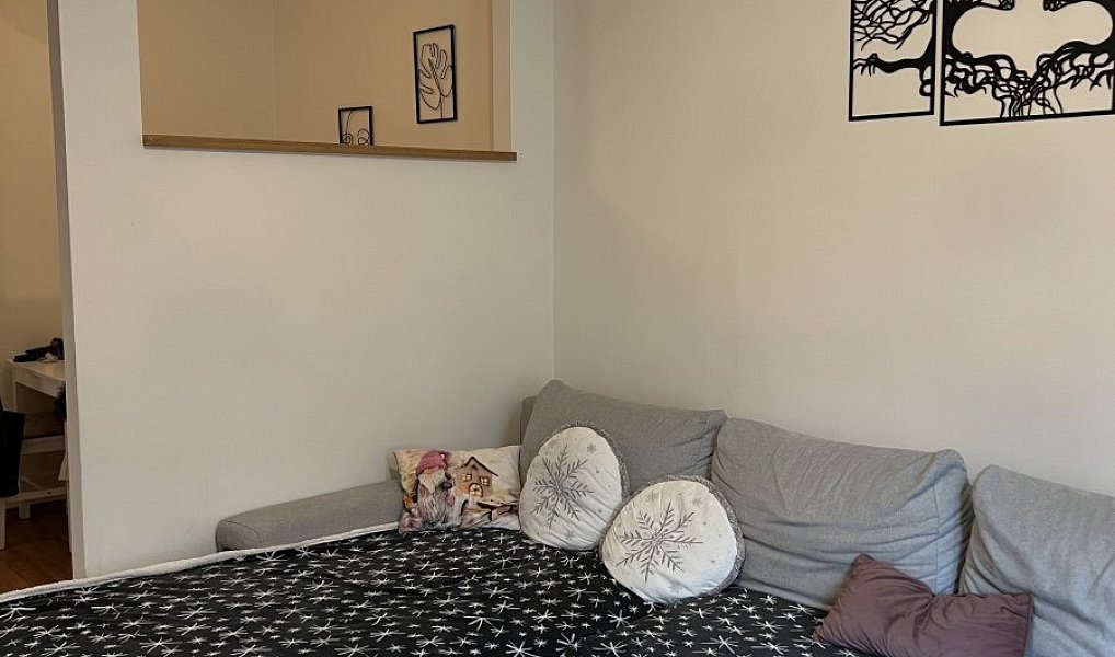 Pronájem bytu 2+kk 55 m², Plzeň – náhled fotky 7
