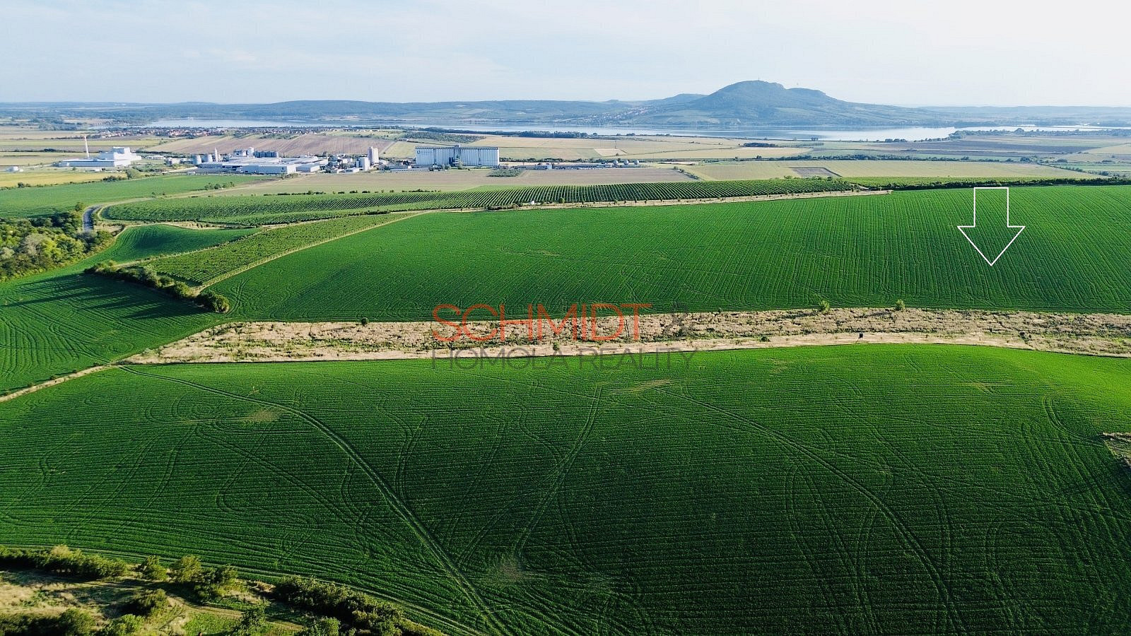 Prodej pole 3 735 m² – fotografie 2
