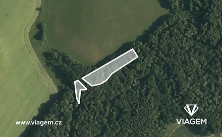 Prodej lesa 1 965 m², Malhotice, okres Přerov