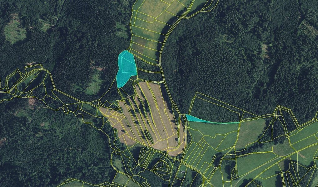 Prodej lesa 11 901 m², Drozdov – náhled fotky 2