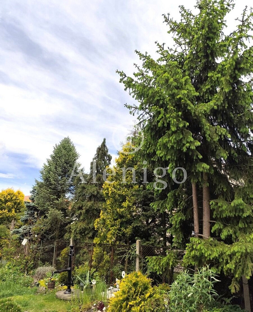Prodej chaty/chalupy 78 m² s pozemkem 624 m² — photo 3