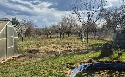 Prodej pole 2 950 m², Rohatec, okres Hodonín