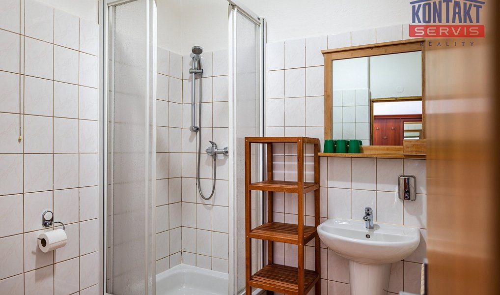 Prodej domu 660 m² s pozemkem 971 m², Stachy – náhled fotky 59
