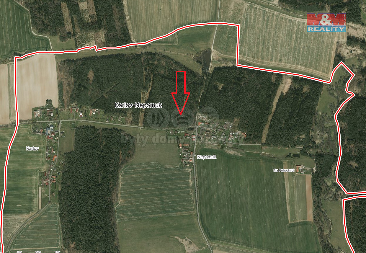 Prodej lesa 2 085 m² – fotografie 2