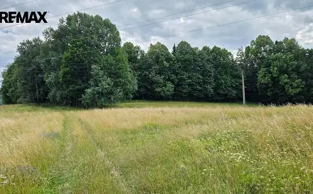Prodej lesa 26 680 m², Písečná, okres Jeseník