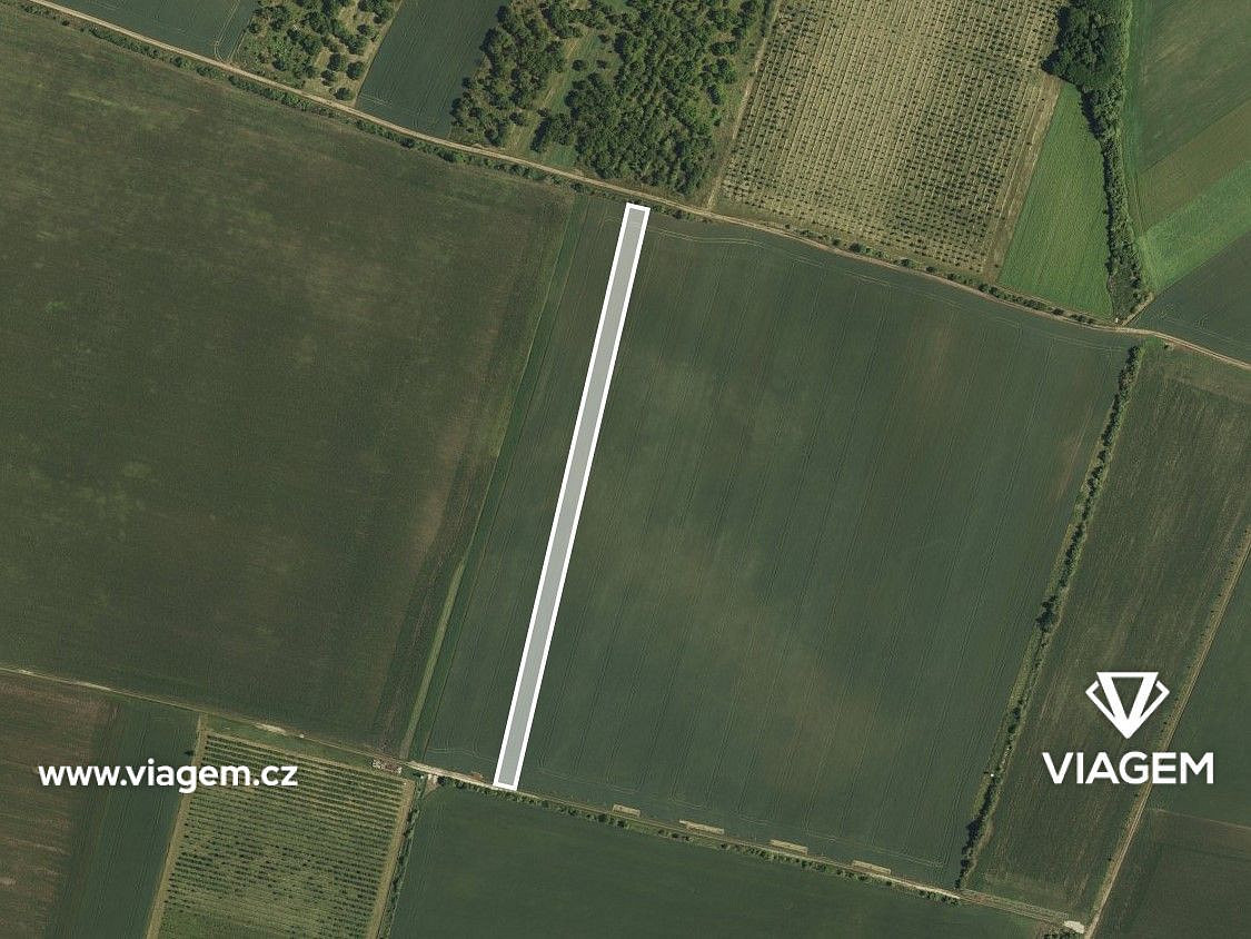 Prodej pole 2 173 m² – fotografie 2