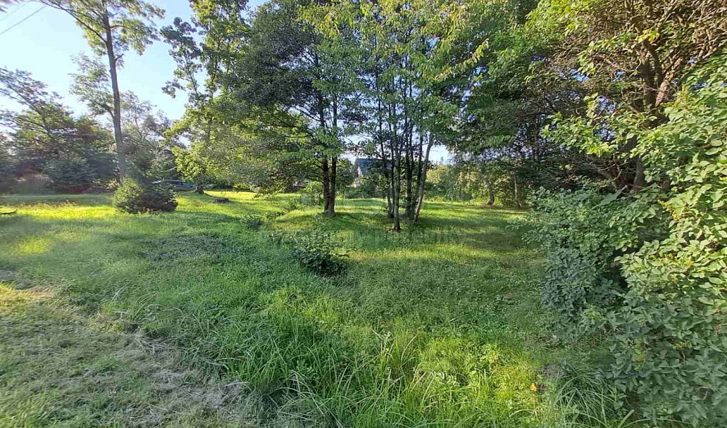 Prodej zahrady 719 m², Město Albrechtice – náhled fotky 22