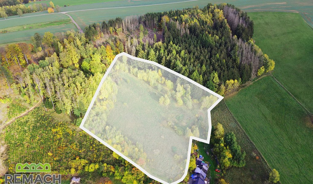 Prodej louky 20 147 m², Horní Radechová – náhled fotky 8