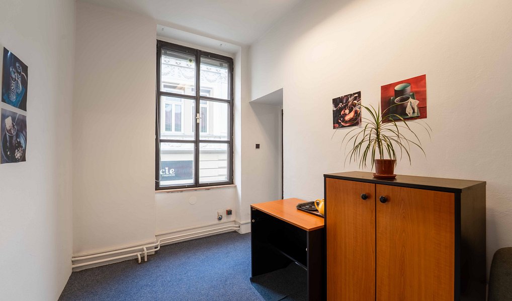 Prodej obchodních prostor 280 m², Přerov – náhled fotky 17