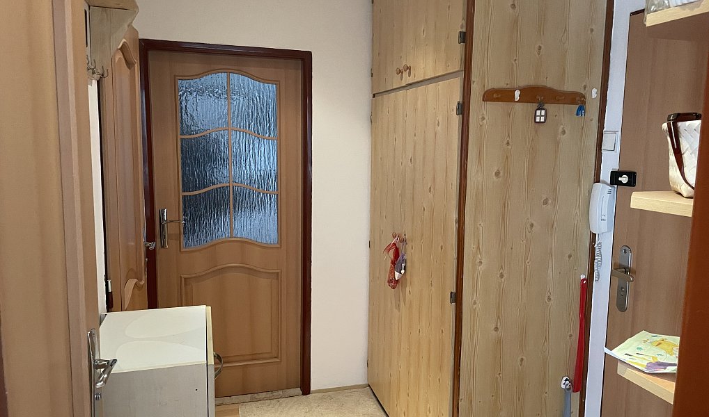 Prodej bytu 2+1 49 m², Mladá Boleslav – náhled fotky 12
