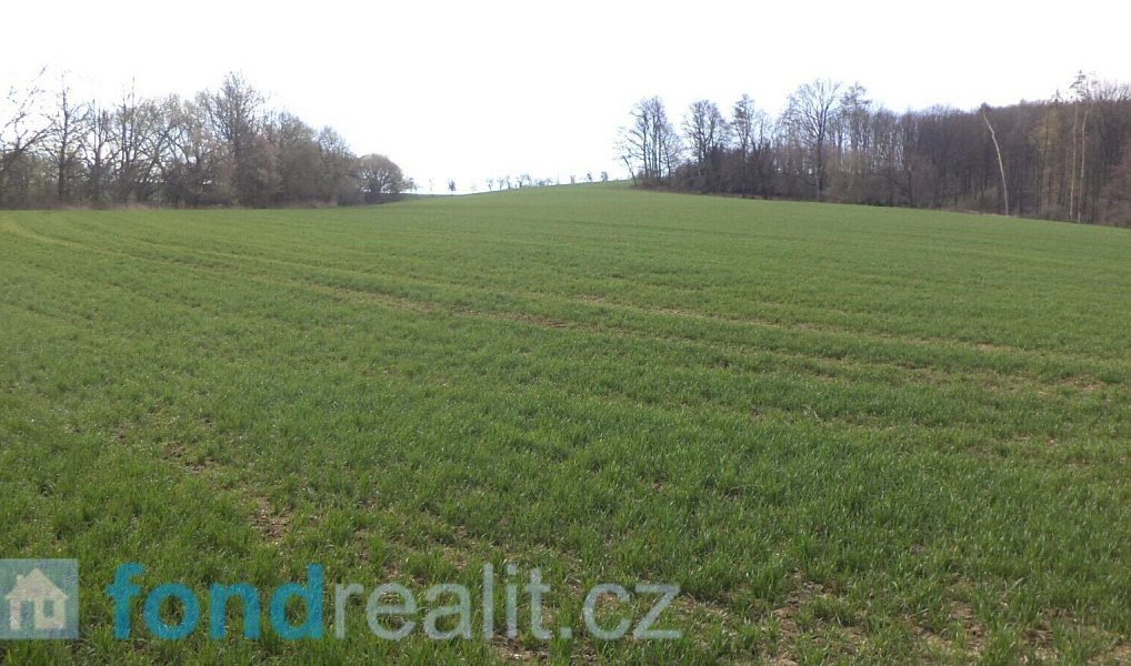 Prodej pozemku 13 279 m², Kostelany – náhled fotky 11
