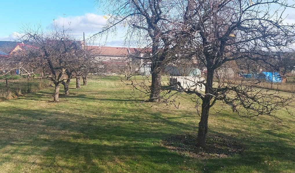 Prodej zahrady 1 080 m², Olomouc – náhled fotky 5