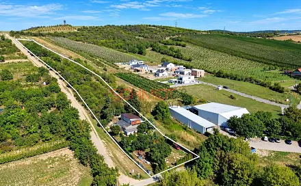 Prodej stavebního pozemku 7 968 m², Havlíčkova, Hustopeče, okres Břeclav